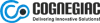 ORM SEO