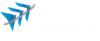 Web Designing & Development Company - Digital Marketing service