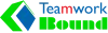 belbin team roles