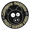 How To Tell If Your Mephisto Genetics Seeds Are Good