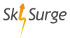 SkySurge – Best SAP Business One ERP Partner in India for SMB I Microsoft and Google Partner