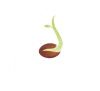 Ayurveda Nursing Colleges in Kerala | Certified Ayurveda Nurse