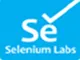 Selenium with Python Training Institute in Bangalore - Selenium Labs