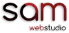 Website Designing Company in Delhi, Web Development Company India