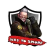 Shop CSGO Accounts, CSGO Smurf Accounts, CSGO Ranked Accounts