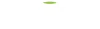 MatchaKyoto.com - Matcha Wholesale &amp; Private Label Service