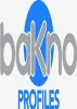 How To Make Profile More Stunning With Bakno Profiles
