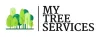 Need a Palm Tree Removed In Auckland? - My Tree Services