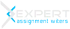 Best Essay Writing Service in USA - expert assignment writers