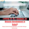 #1 Website Development in Dubai