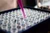 Benefits of Taking Peptide TB500 at the Right Dose