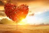 Get Love Solutions From A Love Spell Caster In Toronto - TheOmniBuzz
