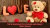 Giant teddy bear
