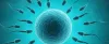 Are you worried about Low sperm count?