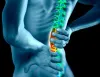 Therapy as well as Prevention Of Pain In The Back Issue