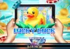 Play Lucky Duck Slot Game!