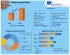 Lug Caps Market: Global Industry Analysis 2027 by Raw Material,