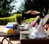 Corbett Dhikala-Jim Corbett Resorts & Hotels | Ramnagar Resorts