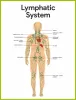  Causes of Lymphoma