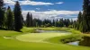 lynx golf