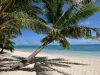 Luxury Tour in Madagascar