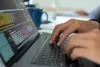 Magento development