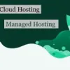 Magento Cloud Hosting vs Managed Hosting - Which is the Best Option?