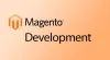 Best Magento Development Company in India