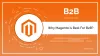 Magento Development - The Right Choice for B2B Enterprises