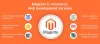 Magento Development Company W3care