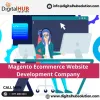 Magento Ecommerce Website Development Company