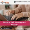 Magento Web Development Services