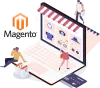 Hire Magento Developers