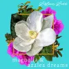 Magnolia & Azalea Dreams