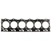 Prosource - MAHLE 1.20MM Cylinder Head Gasket for 5.9L Cummins 24V