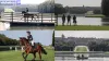 Olympic 2024: Grand Canal Pontoon in hugely exciting Paris 2024 test - Rugby World Cup Tickets | Olympics Tickets | British Open Tickets | Ryder Cup Tickets | Women Football World Cup Tickets | Euro Cup Tickets