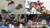 Olympic Equestrian Jumping complete info till Olympic Paris - Rugby World Cup Tickets | Olympics Tickets | British Open Tickets | Ryder Cup Tickets | Women Football World Cup Tickets