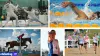 Olympic Paris: Olympic Modern Pentathlon Complete History till Olympic Paris 2024 - Rugby World Cup Tickets | Olympics Tickets | British Open Tickets | Ryder Cup Tickets | Women Football World Cup Tickets