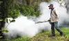 4 Ways to Control Pests from Infesting your Home