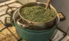 How to Make Hemp Oil In Easy Steps?