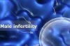 Know the Factors that Causes Male Infertility - Dr Shivani Sachdev Gour