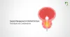 Surgical Management of Urethral Stricture: Techniques and Considerations