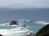 Te Arai beach in NZ