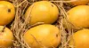 Etihad Cargo launches ‘Freshfoward’ to facilitate cold chain industry – ACAAI NEWS