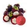 mangosteen extract powder, bulk mangosteen extract powder, mangosteen extract, mangosteen powder, mangosteen extract supplier