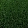 Order Sod Online – Green Thumb Nursery