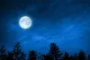 Paush Purnima 2022: Date, Fasting Rituals and Significance - MyPandit
