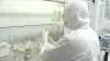 Home - Physicians' Choice Infusion Pharmacy