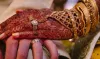 Marriage in India: Traditions, Ceremonies, and Challenges