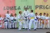Must Have features of Martial Arts Software